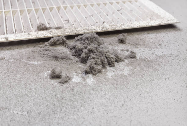 Best Dryer Vent Cleaning Services  in Flanders, NY